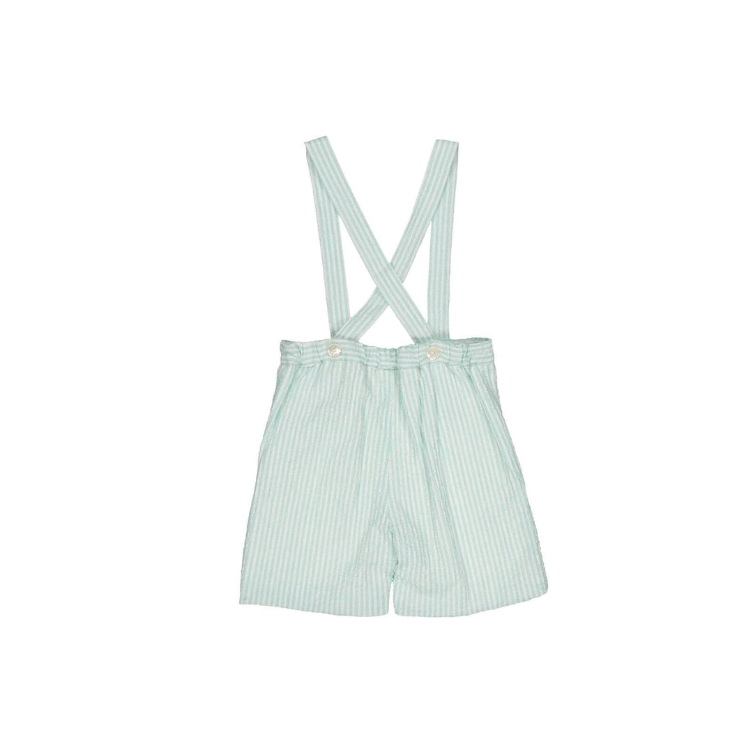 Green seersucker Shorts