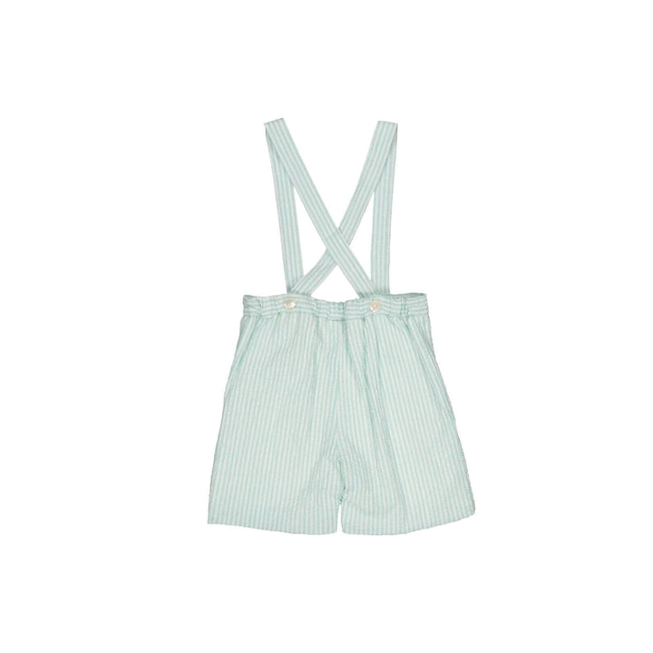 Green seersucker Shorts
